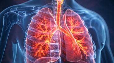 Akciger ve Solunum Sistemi